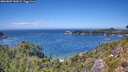 ./images/calvert/foggy-cove/20260807/foggy-cove20260807_142001M.jpg