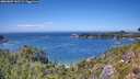 ./images/calvert/foggy-cove/20260807/foggy-cove20260807_142501M.jpg