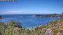 ./images/calvert/foggy-cove/20260807/foggy-cove20260807_143002M.jpg
