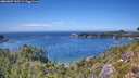 ./images/calvert/foggy-cove/20260807/foggy-cove20260807_143501M.jpg