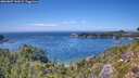 ./images/calvert/foggy-cove/20260807/foggy-cove20260807_144501M.jpg