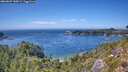 ./images/calvert/foggy-cove/20260807/foggy-cove20260807_145002M.jpg