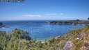 ./images/calvert/foggy-cove/20260807/foggy-cove20260807_145502M.jpg