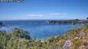 ./images/calvert/foggy-cove/20260807/foggy-cove20260807_150001M.jpg