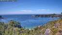 ./images/calvert/foggy-cove/20260807/foggy-cove20260807_150501M.jpg