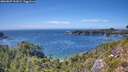 ./images/calvert/foggy-cove/20260807/foggy-cove20260807_151001M.jpg