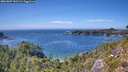 ./images/calvert/foggy-cove/20260807/foggy-cove20260807_151501M.jpg