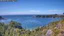 ./images/calvert/foggy-cove/20260807/foggy-cove20260807_152501M.jpg