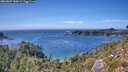 ./images/calvert/foggy-cove/20260807/foggy-cove20260807_153002M.jpg