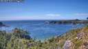 ./images/calvert/foggy-cove/20260807/foggy-cove20260807_153501M.jpg