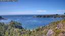 ./images/calvert/foggy-cove/20260807/foggy-cove20260807_154002M.jpg