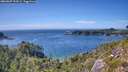 ./images/calvert/foggy-cove/20260807/foggy-cove20260807_154501M.jpg