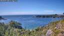 ./images/calvert/foggy-cove/20260807/foggy-cove20260807_160001M.jpg