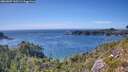 ./images/calvert/foggy-cove/20260807/foggy-cove20260807_160501M.jpg