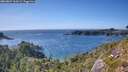 ./images/calvert/foggy-cove/20260807/foggy-cove20260807_164501M.jpg