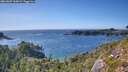 ./images/calvert/foggy-cove/20260807/foggy-cove20260807_165002M.jpg