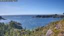 ./images/calvert/foggy-cove/20260807/foggy-cove20260807_165502M.jpg