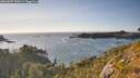 ./images/calvert/foggy-cove/20260807/foggy-cove20260807_184501M.jpg