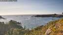 ./images/calvert/foggy-cove/20260807/foggy-cove20260807_185002M.jpg