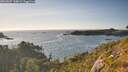 ./images/calvert/foggy-cove/20260807/foggy-cove20260807_190001M.jpg
