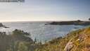 ./images/calvert/foggy-cove/20260807/foggy-cove20260807_190501M.jpg