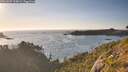 ./images/calvert/foggy-cove/20260807/foggy-cove20260807_194501M.jpg