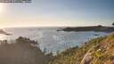 ./images/calvert/foggy-cove/20260807/foggy-cove20260807_195501M.jpg