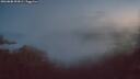 ./images/calvert/foggy-cove/20260808/foggy-cove20260808_053001M.jpg