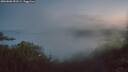 ./images/calvert/foggy-cove/20260808/foggy-cove20260808_053501M.jpg