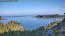 ./images/calvert/foggy-cove/20260808/foggy-cove20260808_075501M.jpg