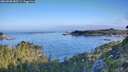 ./images/calvert/foggy-cove/20260808/foggy-cove20260808_080501M.jpg