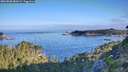 ./images/calvert/foggy-cove/20260808/foggy-cove20260808_081002M.jpg