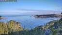 ./images/calvert/foggy-cove/20260808/foggy-cove20260808_081501M.jpg