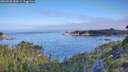 ./images/calvert/foggy-cove/20260808/foggy-cove20260808_082001M.jpg
