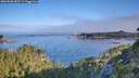 ./images/calvert/foggy-cove/20260808/foggy-cove20260808_082501M.jpg