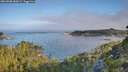 ./images/calvert/foggy-cove/20260808/foggy-cove20260808_083001M.jpg