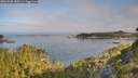 ./images/calvert/foggy-cove/20260808/foggy-cove20260808_083501M.jpg