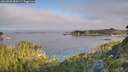 ./images/calvert/foggy-cove/20260808/foggy-cove20260808_084501M.jpg