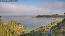 ./images/calvert/foggy-cove/20260808/foggy-cove20260808_085001M.jpg