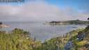 ./images/calvert/foggy-cove/20260808/foggy-cove20260808_090501M.jpg