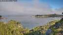 ./images/calvert/foggy-cove/20260808/foggy-cove20260808_091002M.jpg
