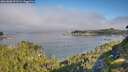 ./images/calvert/foggy-cove/20260808/foggy-cove20260808_091501M.jpg