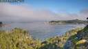 ./images/calvert/foggy-cove/20260808/foggy-cove20260808_092002M.jpg