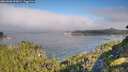 ./images/calvert/foggy-cove/20260808/foggy-cove20260808_093001M.jpg