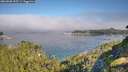 ./images/calvert/foggy-cove/20260808/foggy-cove20260808_093501M.jpg
