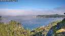 ./images/calvert/foggy-cove/20260808/foggy-cove20260808_094001M.jpg