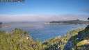 ./images/calvert/foggy-cove/20260808/foggy-cove20260808_094501M.jpg