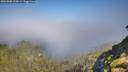 ./images/calvert/foggy-cove/20260808/foggy-cove20260808_100001M.jpg