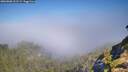 ./images/calvert/foggy-cove/20260808/foggy-cove20260808_101501M.jpg