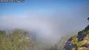 ./images/calvert/foggy-cove/20260808/foggy-cove20260808_102001M.jpg